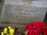 image of grave number 798221
